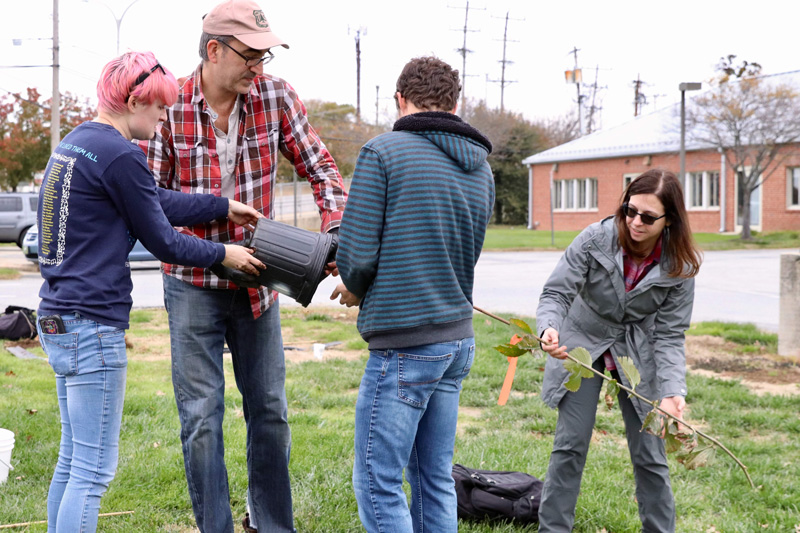 Students in Dr. Tara Trammells Urban Forestry class (PLSC367) plant a new type of elm tree in order to study hardiness against Dutch Elm Disease. with Vince Dimico