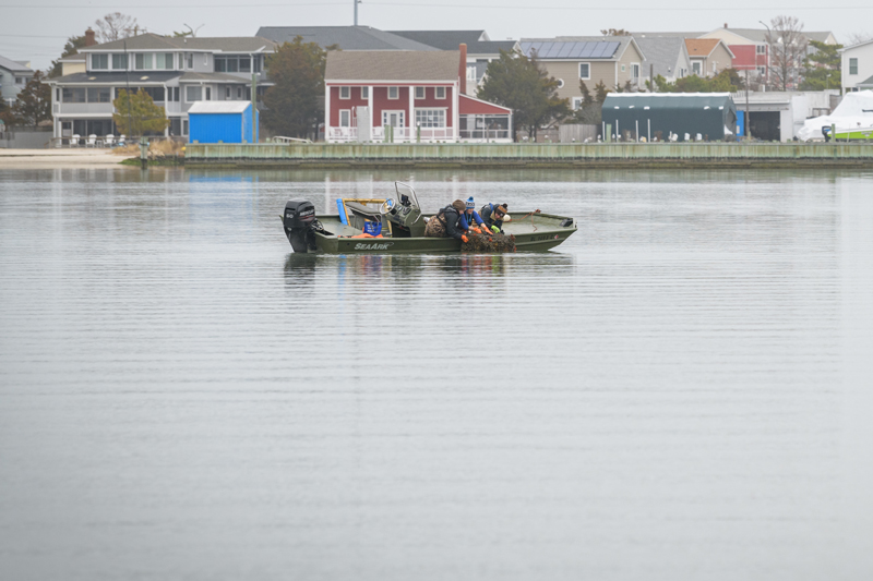 Graduate students, faculty, and staff with the College of Earth, Ocean, and Environment and Delaware Sea Grant working in Rehoboth Bay to clean up to clean up "ghost" (derelict and abandoned) crab pots which litter the floor of the Bay. A previous survey found over 300 pots which have been lost or abandoned that can nevertheless still trap and kill wildlife that come across them, as well as pose a risk to boaters and swimmers. Once the pots have been removed from the bottom they are cleaned up and made available for repair and reuse or broken up and recycled.