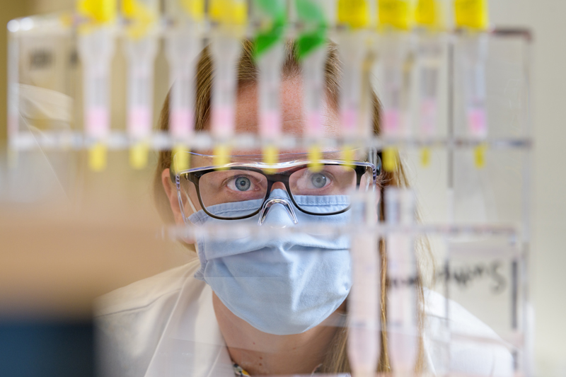 Molly Sutherland, an assistant professor of Biological Sciences, was recently awarded a $2 million NIH "Maximizing Investigators' Research" (MIRA) (R35) grant to study cytochromes c — iron-containing proteins (hemeproteins) based in the cell’s mitochondrion that shuttle electrons from one protein complex to another.