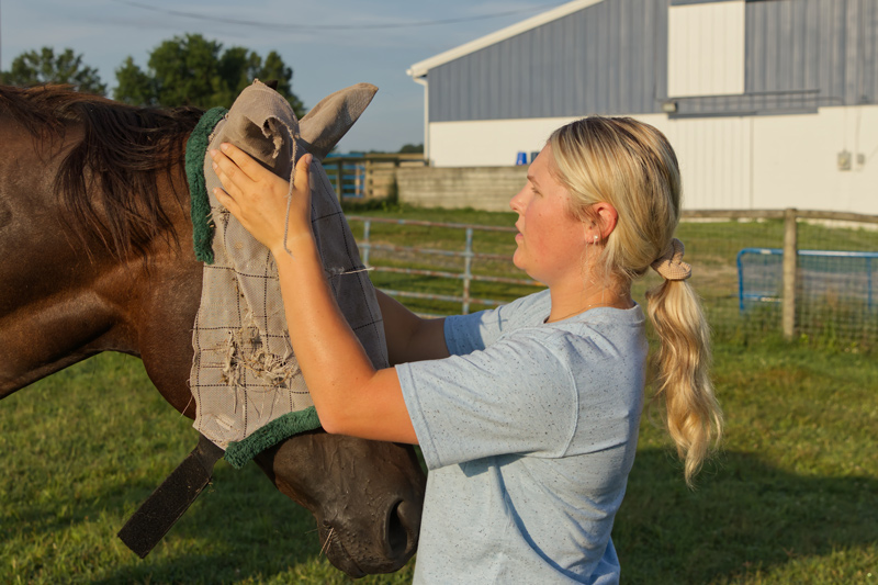 Tessa McDonough is a junior agriculture and natural resources major with minors in animal science and educational studies.