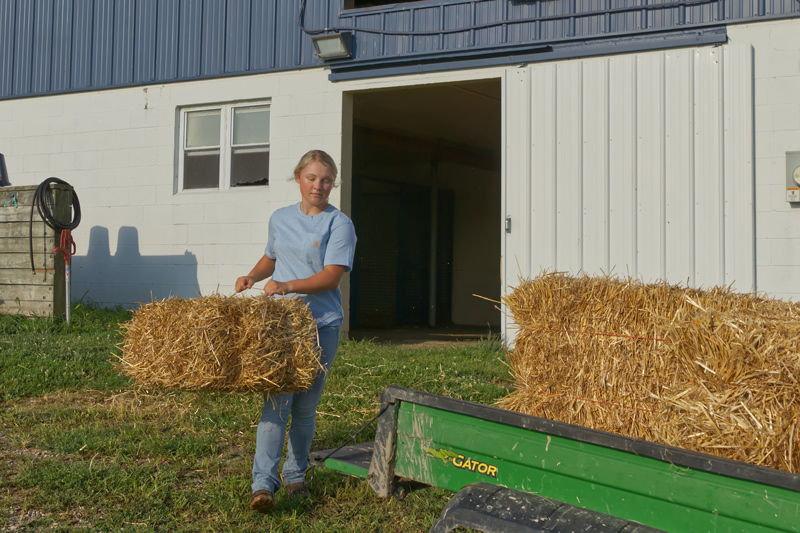 Tessa McDonough hopes to pursue a career as an agriculture teacher; the UD agriculture and natural resources major begins student teaching in a local middle school this fall.