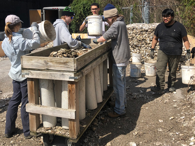 Students from Delaware Technical Community College learned how to implement, design, construct and maintain green infrastructure projects as part of the Delaware Sea Grant (DESG) Green Infrastructure Internship Program. As part of the internship, the students learned about oyster shell recycling and are pictured here with members of the Partnership for the Delaware Estuary bagging oyster shells that will be used in restoration projects. 