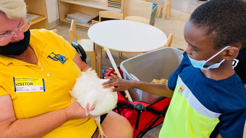  A young student pets a chicken brought by Georgie Cartanza, poultry extension agent on left.