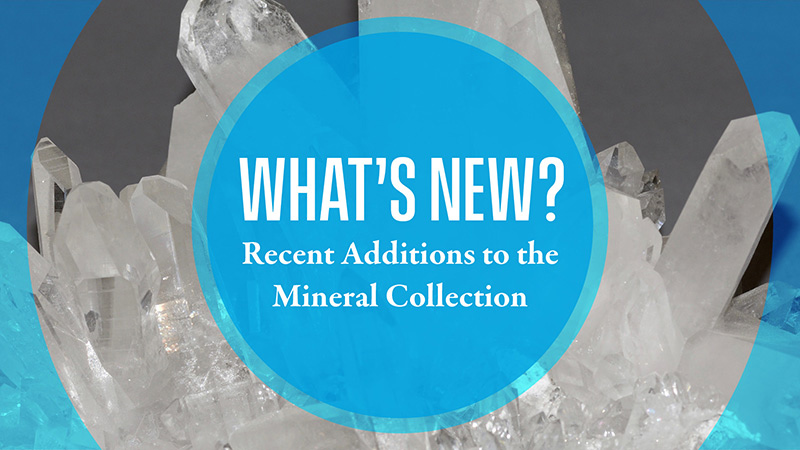 Recent Additions to the Mineral Collection