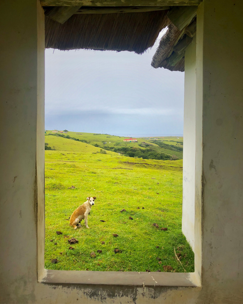 A view in South Africa