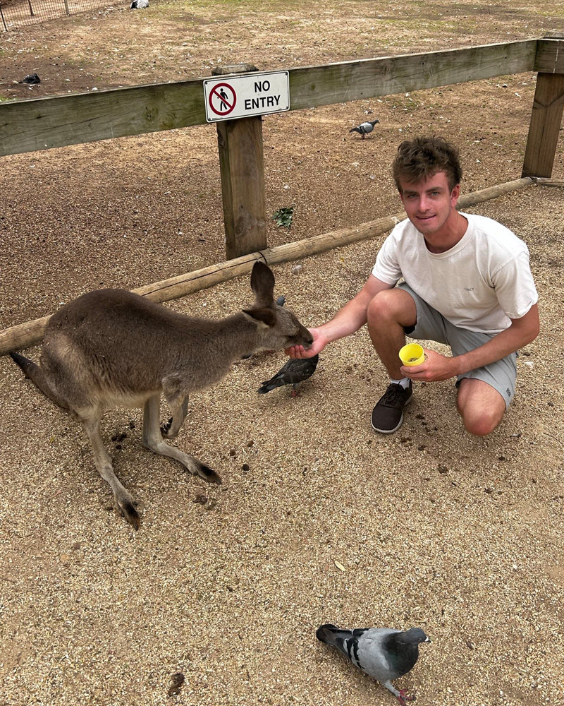 Ethan Kimmel, a senior majoring in finance and minoring in international business, got to meet Australian wildlife during his study abroad trip to Sydney. 