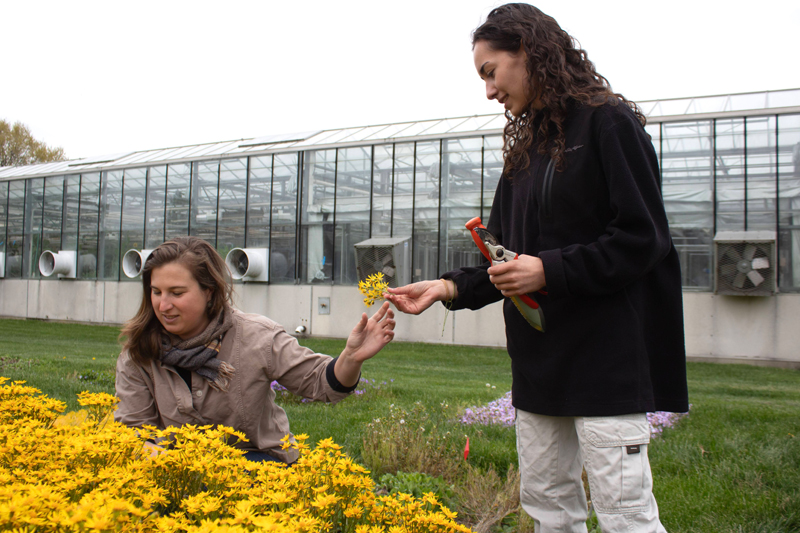 Lauren Kope, director of UD Botanic Gardens, teaches plant identification to Sofia Torres, a first-year student at UD and participant in the work-based learning program.
