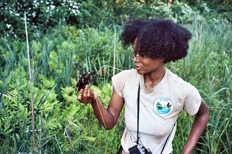 UD alumna Maya Walker uses telemetry to track the movement of bog turtles in Delaware; Walker works as a herpetological aid for the Department of Natural Resources and Environmental Control’s Division of Fish and Wildlife. (Credit: Mat Smith)