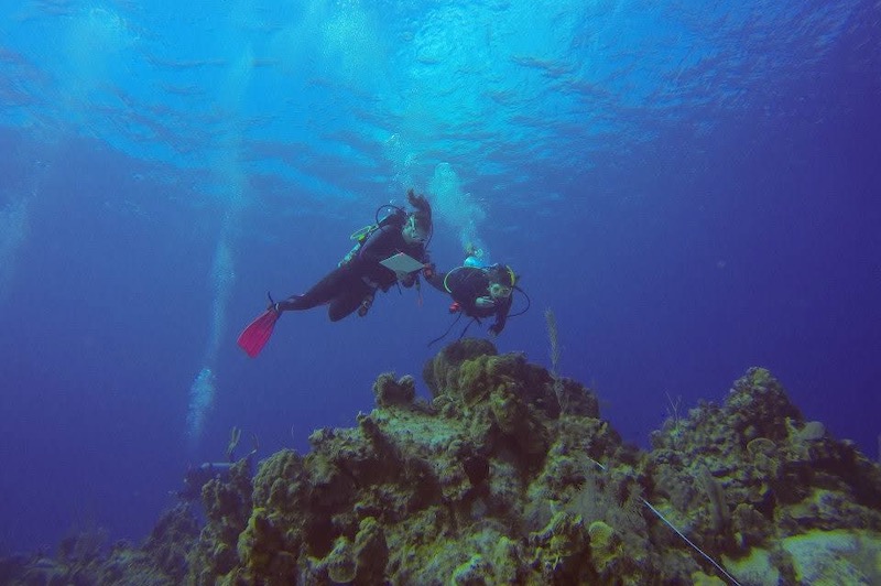 Study abroad memories endure for Liz and Kenneth Hoadley, who met in the Cayman Islands and now live in Alabama.