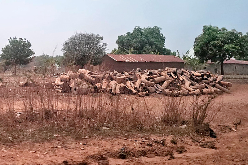 Pictured are roadside logs in Nigeria after deforestation. In Nigeria, Africa’s most populous country, about 90% of the deforested area has been converted to cropland within five years of forest loss. 