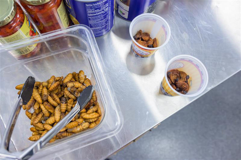 Silkworm pupae (left) and Sago worms (right) before they were added to the soup.