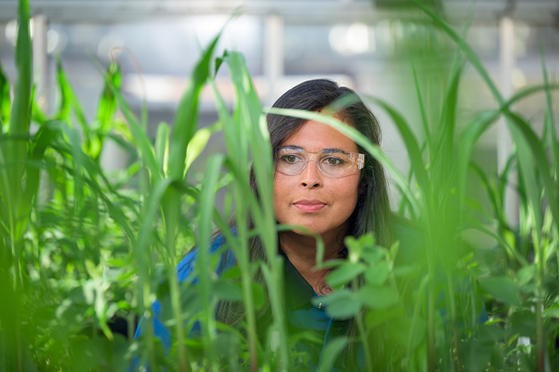 Hispanic/Latina women in STEM represent less than 5% of STEM undergraduate degrees, but they have had the fastest growth in advanced degrees by race and ethnicity. As a female, first-generation Hispanic college student in STEM, Carro believes in donating her time to inspire the next generation of scientists. 