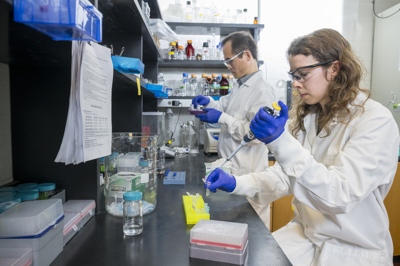 Core facility directors, such as Yanbao Yu, who directs the proteomics core in the College of Arts and Sciences, provide important guidance and mentoring for faculty and graduate students using the sophisticated core facilities and resources available at UD. Here Yu and mass spectrometrist Kathryn Martin (right) prepare biological samples for proteomics studies. 