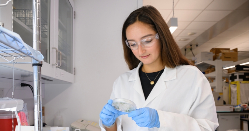 Alex Pipinos examines a plant sample. 