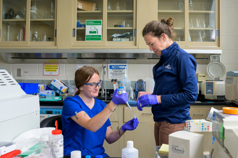 In addition to working directly with animals, UD’s collaboration with CORL allows students to develop their laboratory skills. Alexis Rabinovitch (left), a UD Class of 2026 pre-veterinary medicine major, works with Veridiana Nadruz who is teaching a proper technique for aliquoting samples using a micropipet. 
