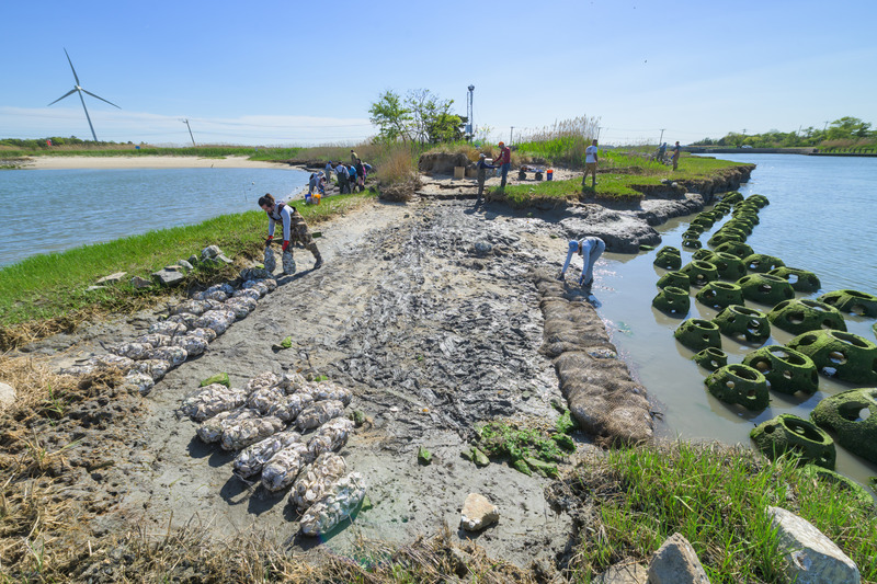 Researchers have installed a living shoreline at UD’s Lewes campus to help protect critical infrastructure while also providing ecosystem benefits to the area.