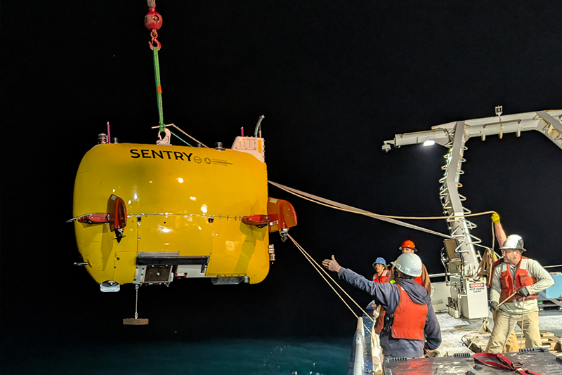 The AUV Sentry, pictured here being lowered into the water, is about the size of a motorcycle and can carry out a pre-programmed mission, using its sensors and detectors to collect data autonomously.