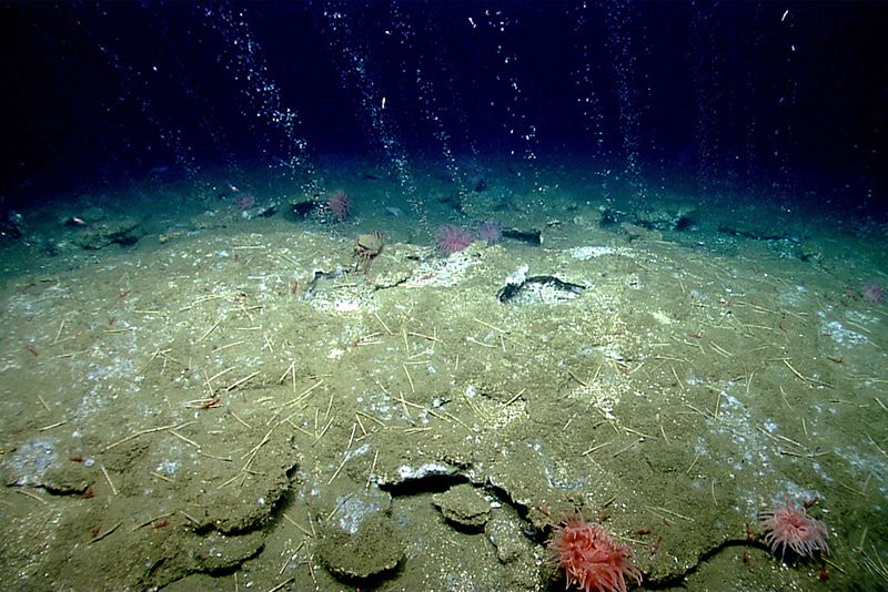 Sentry can dive and work close to the sea floor, allowing researchers to get high resolution images of methane bubble plumes which tells them where the methane is seeping out. 